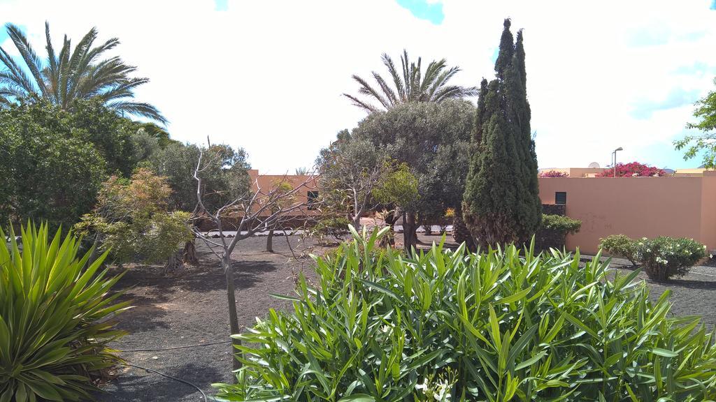 Villa Tamaragua La Oliva Dış mekan fotoğraf